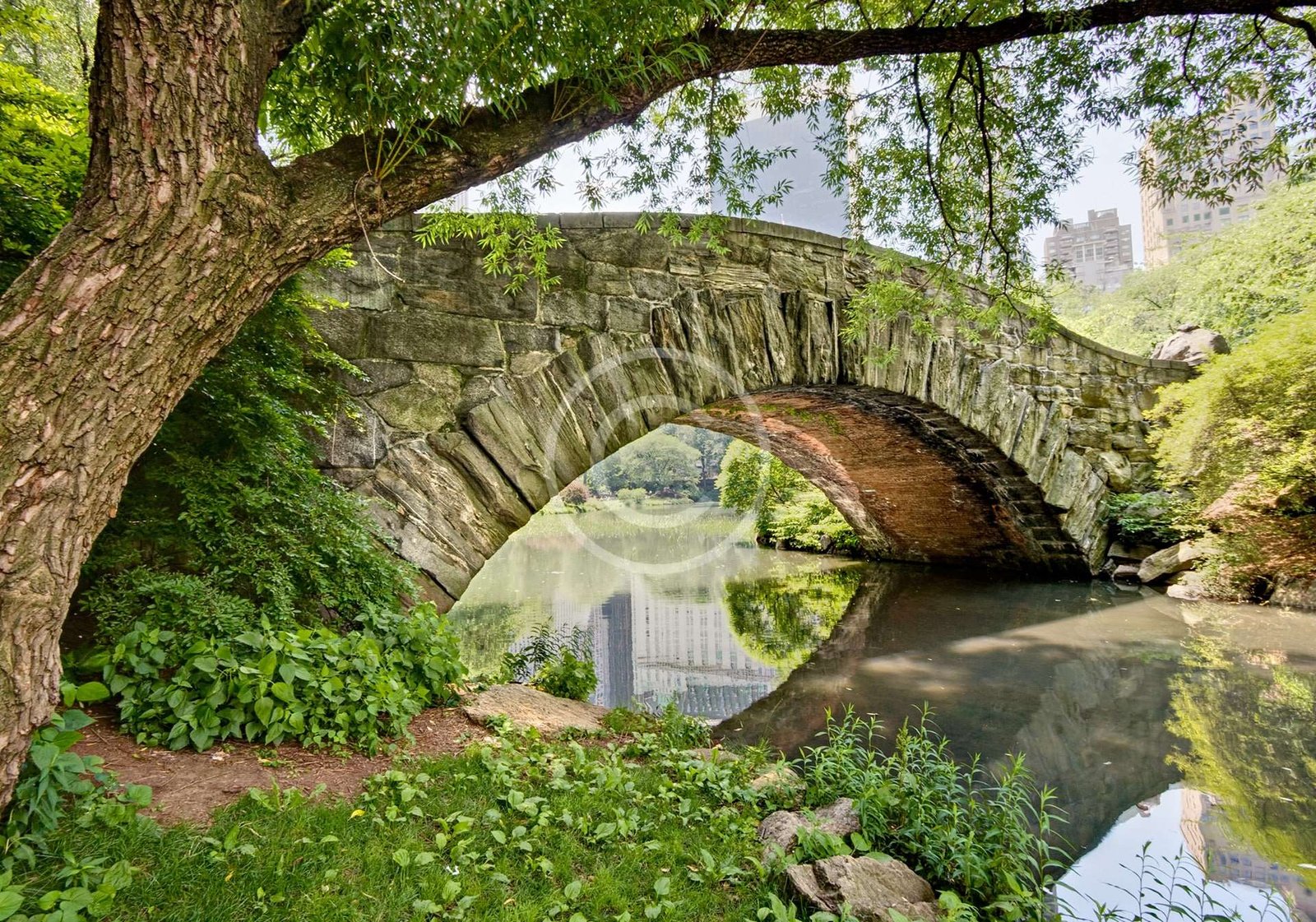 Central Park Tour